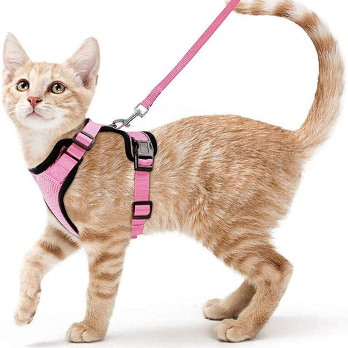 Cat Harness and Leash with Easy Control, Escape-Proof - Soft Adjustable Vest Harness for Walking Cats. eprolo