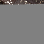 Solid dark gray color swatch