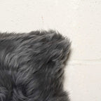 Close-up of a gray fur surface on a light background