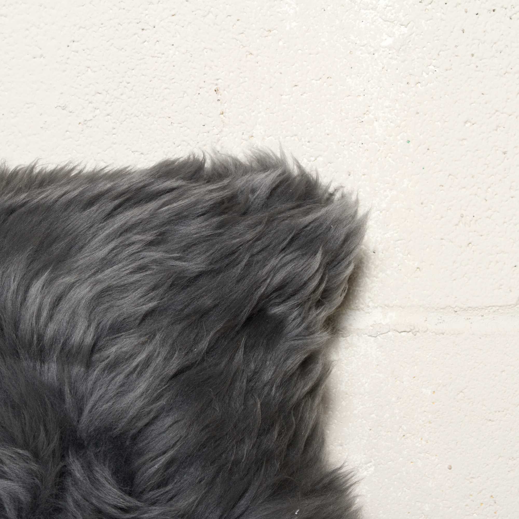 Close-up of a gray fur surface on a light background