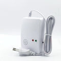 Domestic gas leak alarm - Whispering Desires Shoppe
