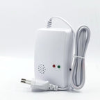 Domestic gas leak alarm - Whispering Desires Shoppe