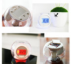 Colorful natural sound alarm clock - Whispering Desires Shoppe
