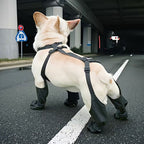 Anti-Fall Suspender Dog Boots: Waterproof & Anti-Slip Paw Protectors for Secure Fit on Outdoor Adventures eprolo