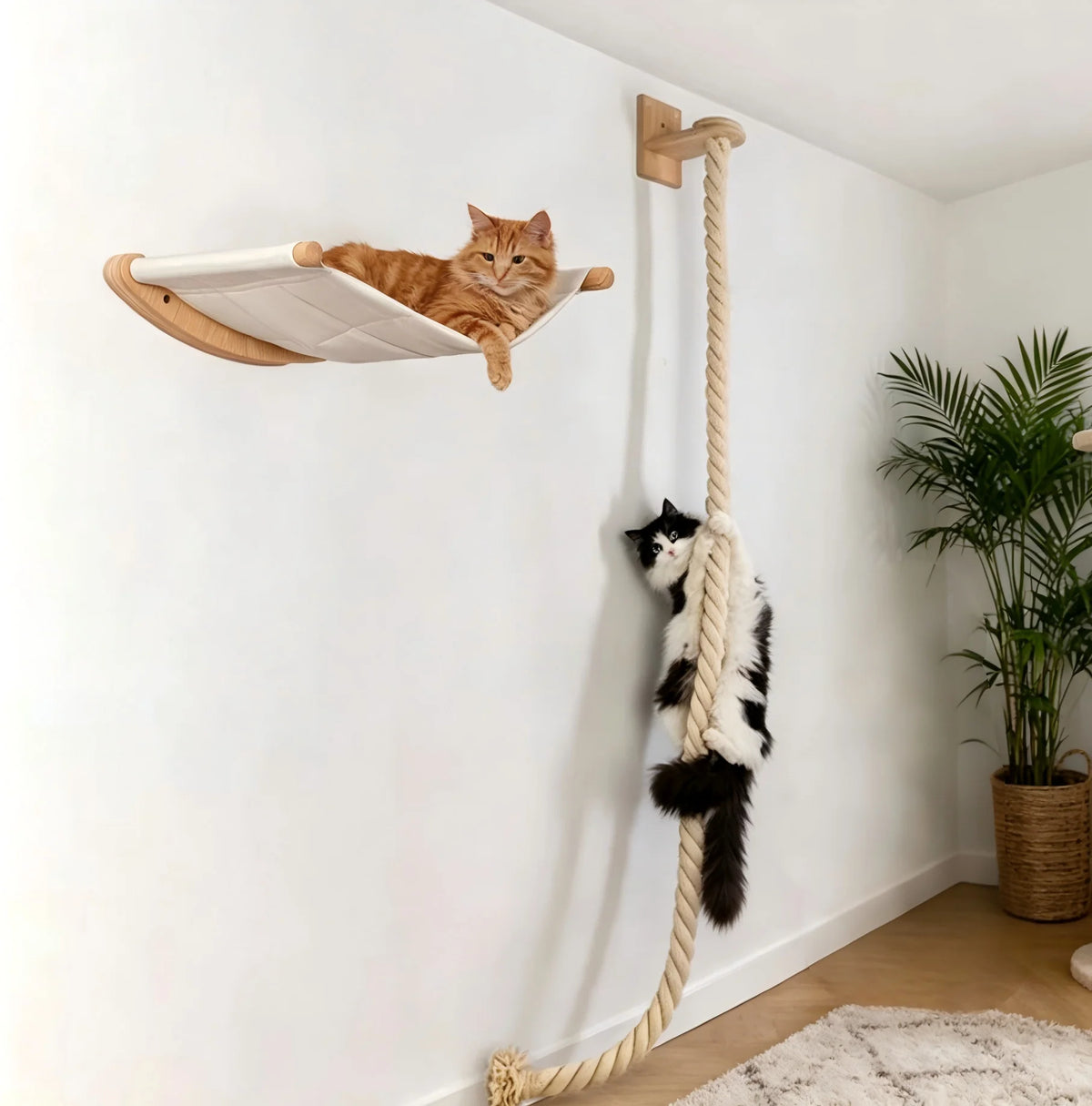 Wall-Mounted Cat Hammock & Climbing Shelf Set