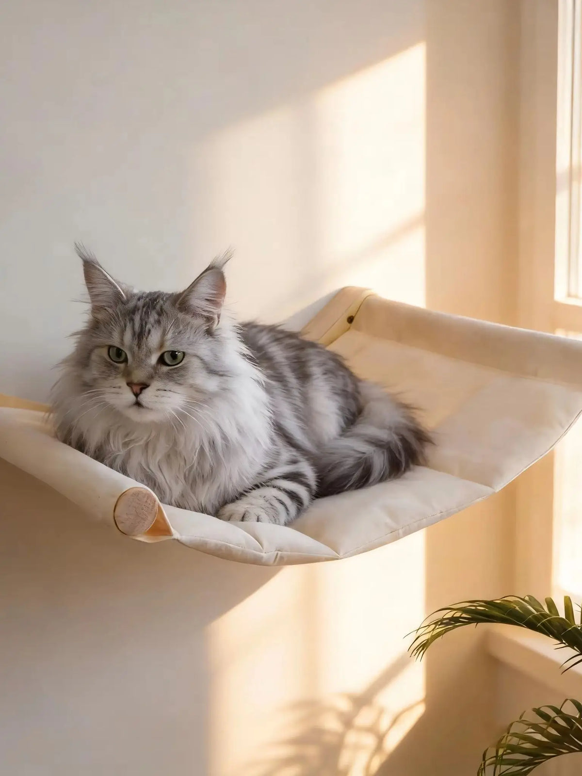 Wall-Mounted Cat Hammock & Climbing Shelf Set