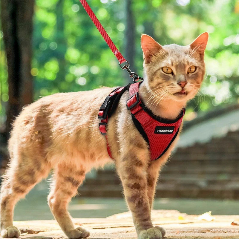 Cat Harness and Leash with Easy Control, Escape-Proof - Soft Adjustable Vest Harness for Walking Cats. eprolo