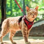 Cat Harness and Leash with Easy Control, Escape-Proof - Soft Adjustable Vest Harness for Walking Cats. eprolo