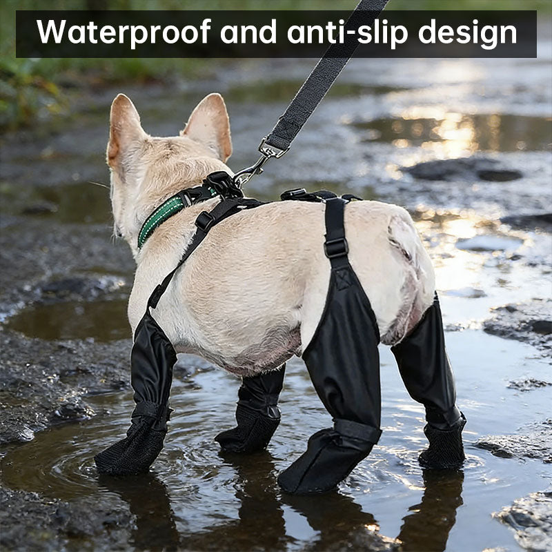 Anti-Fall Suspender Dog Boots: Waterproof & Anti-Slip Paw Protectors for Secure Fit on Outdoor Adventures eprolo