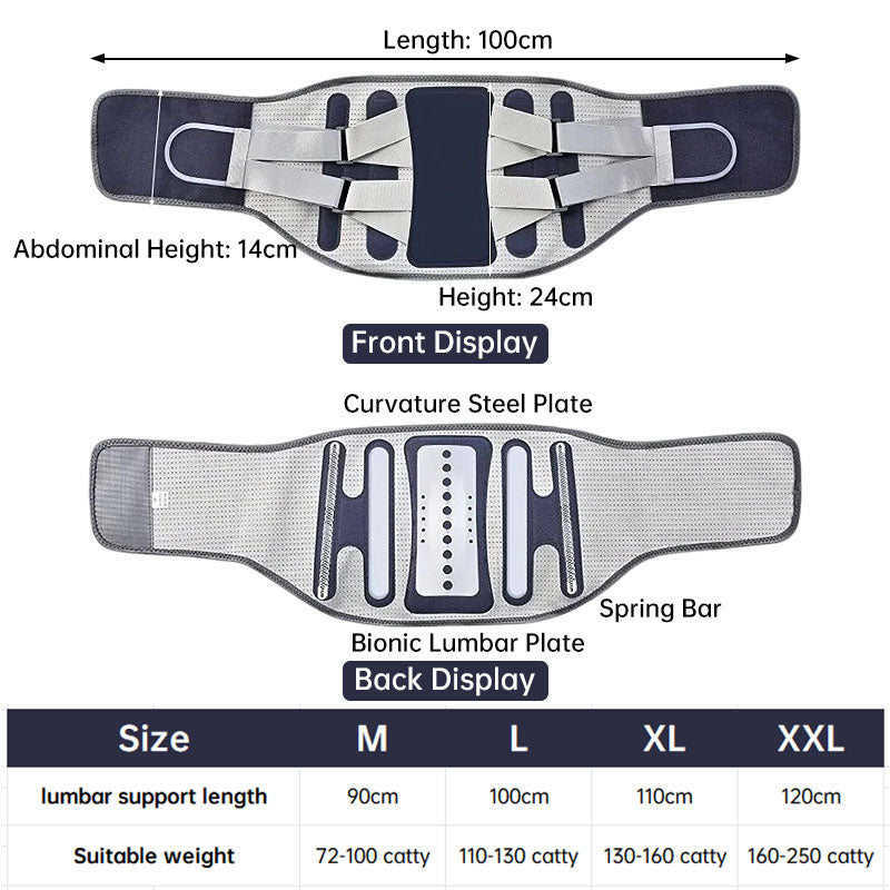 Back Support Belt | Pain Relief for Sciatica & Posture Correction - Whispering Desires Shoppe