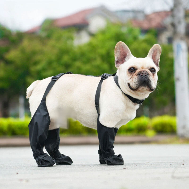 Anti-Fall Suspender Dog Boots: Waterproof & Anti-Slip Paw Protectors for Secure Fit on Outdoor Adventures eprolo