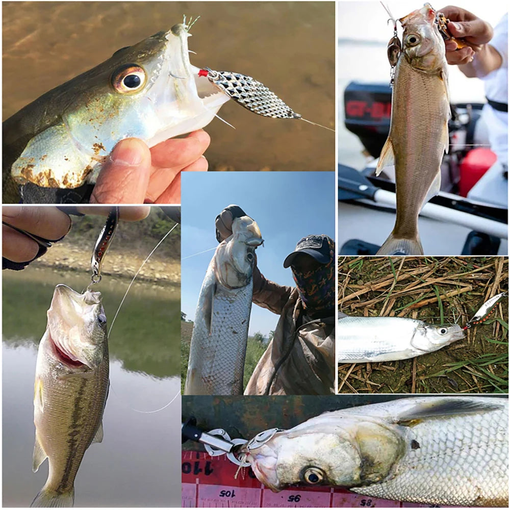Fishing Lure Assortment with Tackle Box