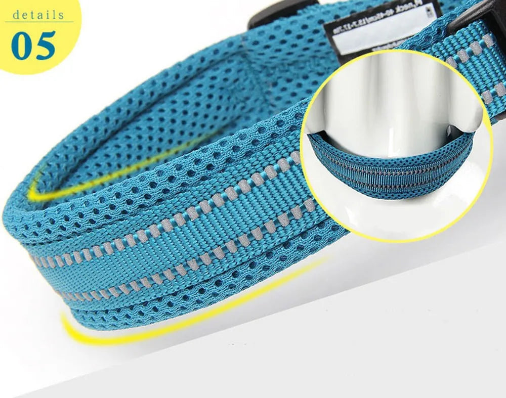 TRUELOVE Reflective Nylon Dog Collar TLC5011