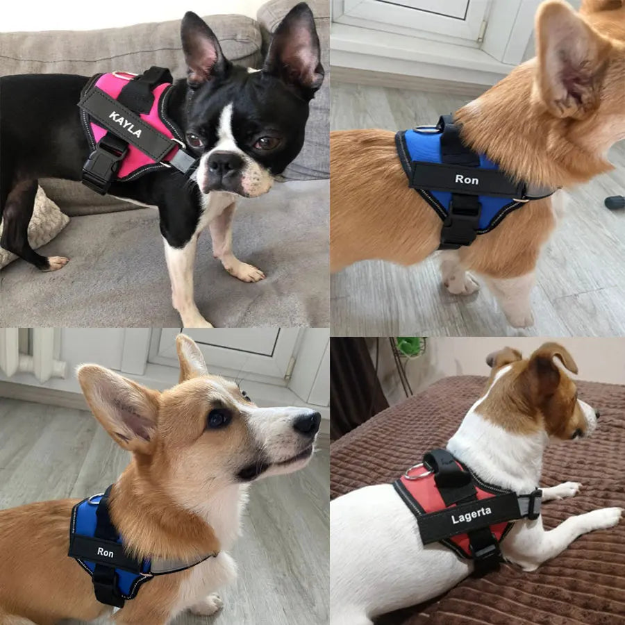 Adjustable Reflective Dog Harness with Custom ID Patch