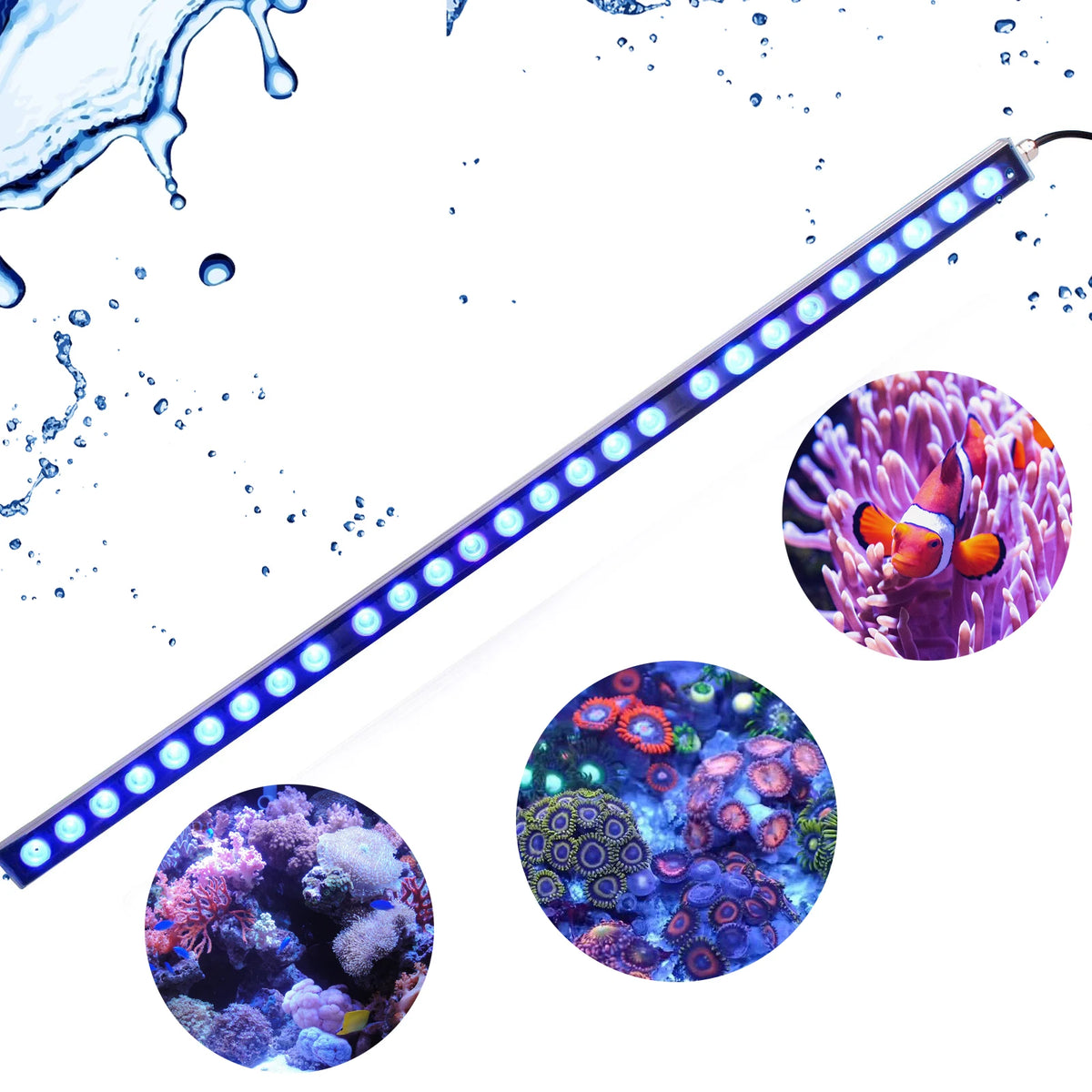 Populargrow 54W/81W/108W Aquarium Light with 470nm Blue Spectrum Leds Strip Light Beautiful Your Coral Reef Fish Tank Lamp Whispering Desires Shoppe