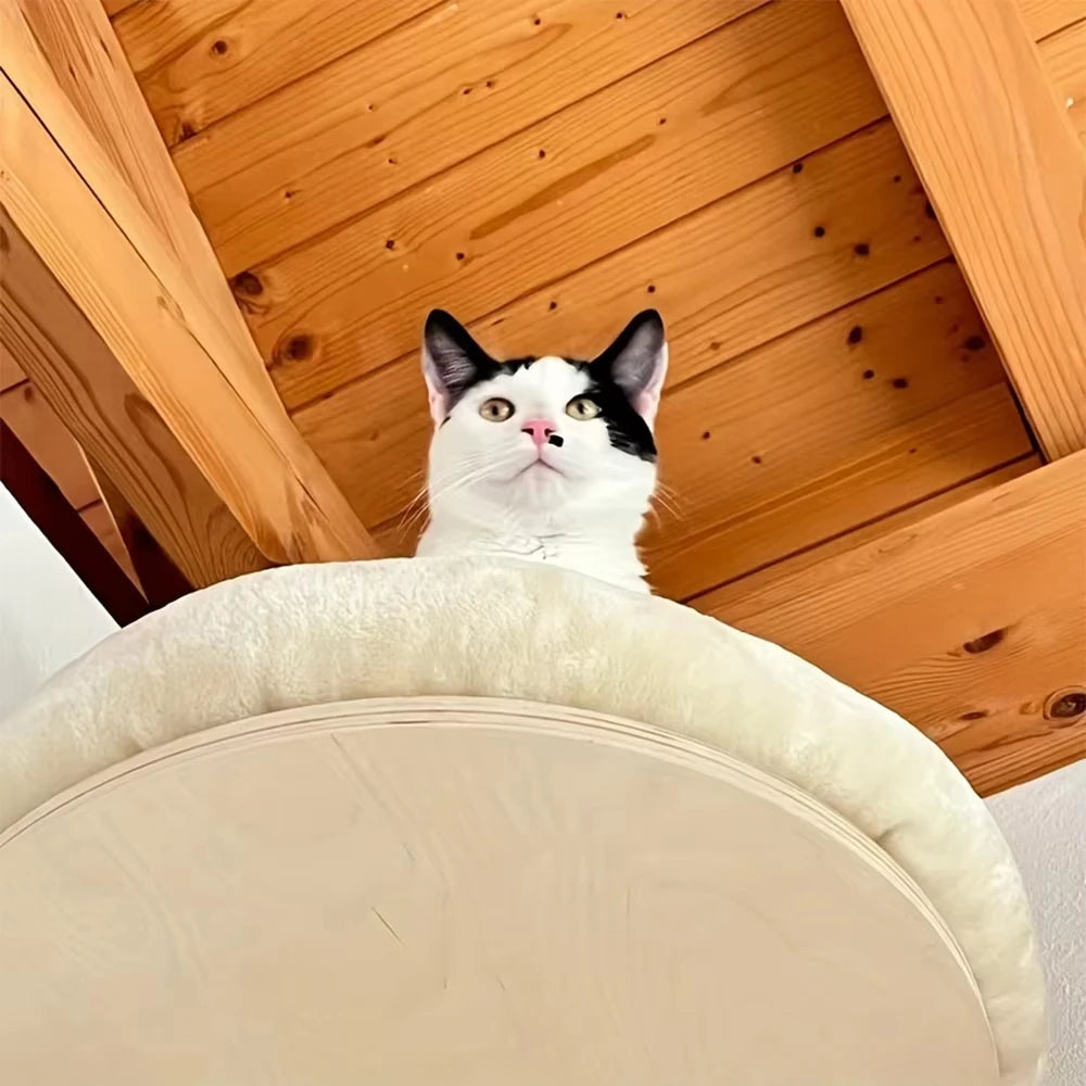 Cat Wall Mounted Solid Wooden Furniture Climbing Ladder and Cat Hammock with Scratching Post for Activity Indoor Cats Perches Whispering Desires Shoppe