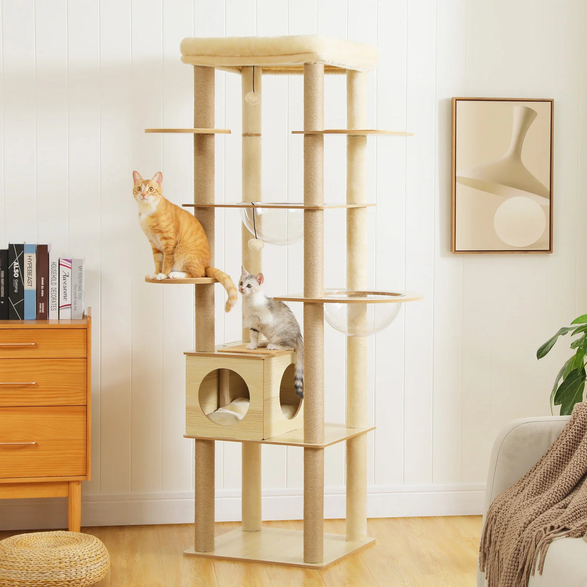 Multi-Level Wooden Cat Tree with Condo & Hammock