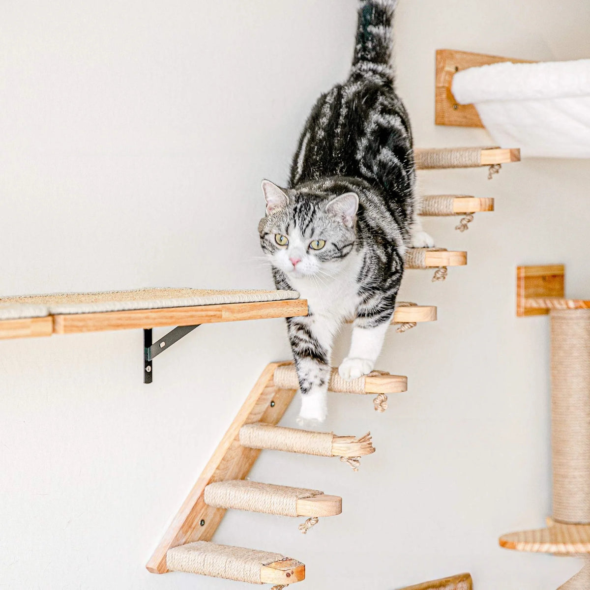 Wall-Mounted Wooden Cat Climbing Stairs