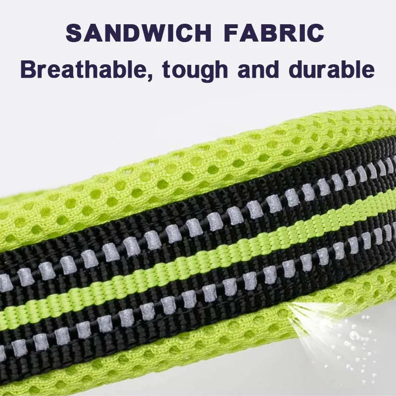 Winhyepet Padded Nylon Dog Collar
