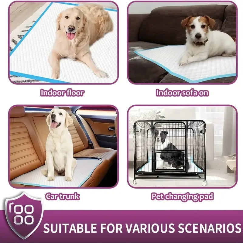 Disposable Dog Training Pads
