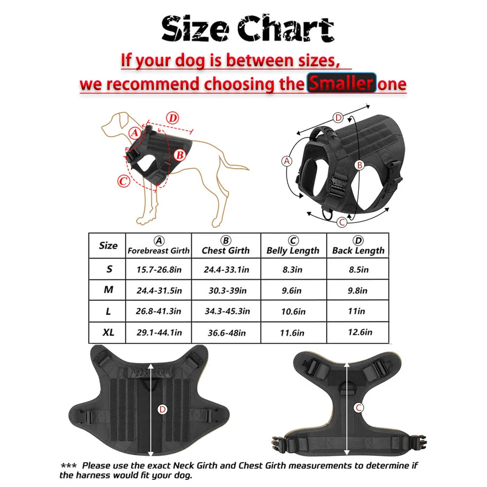 PETRAVEL Adjustable Dog Harness & Collar Set