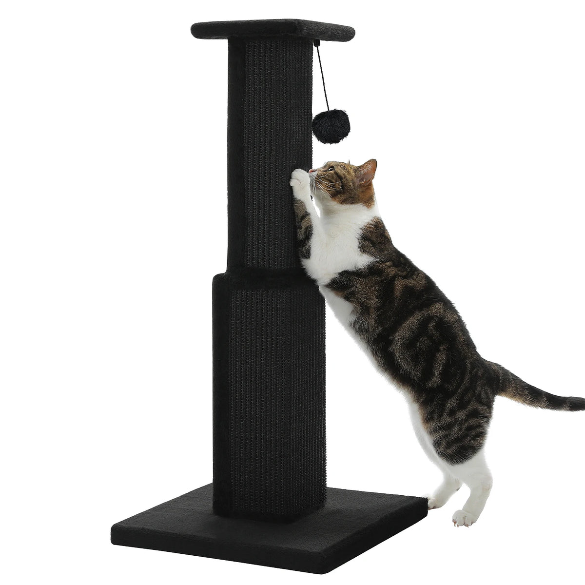Tall Sisal Cat Scratching Post with Dangling Ball