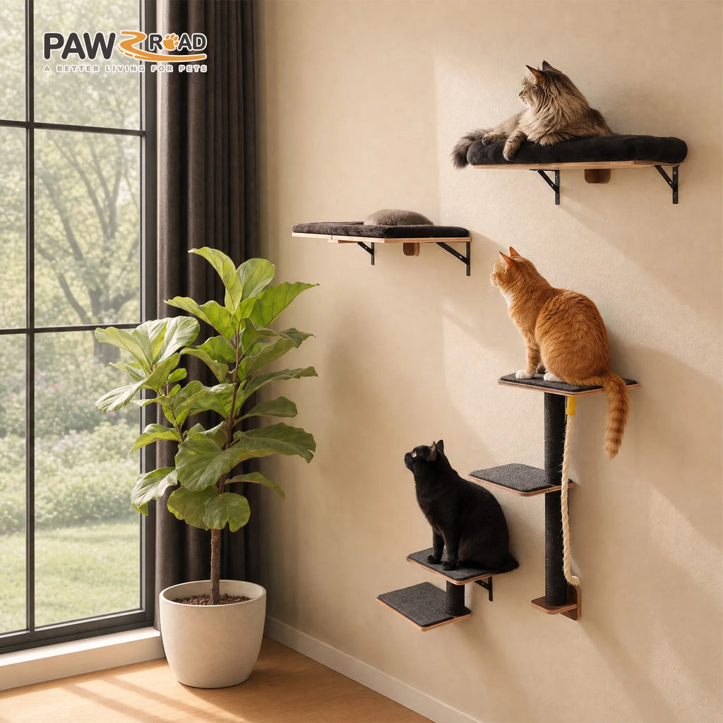 PAWZ Road Five-in-One Wall-Mounted Cat Climbing Set