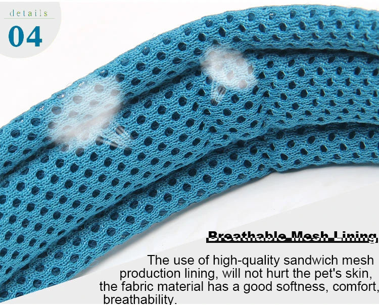 Winhyepet Padded Nylon Dog Collar