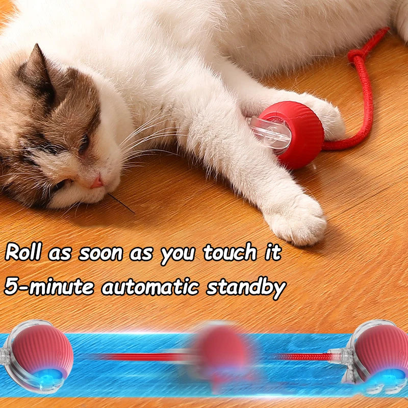 Rechargeable Rolling Cat Ball with Faux Tail