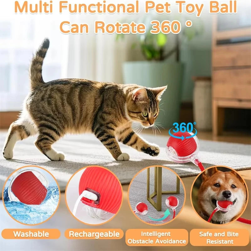 Rechargeable Rolling Cat Ball with Faux Tail