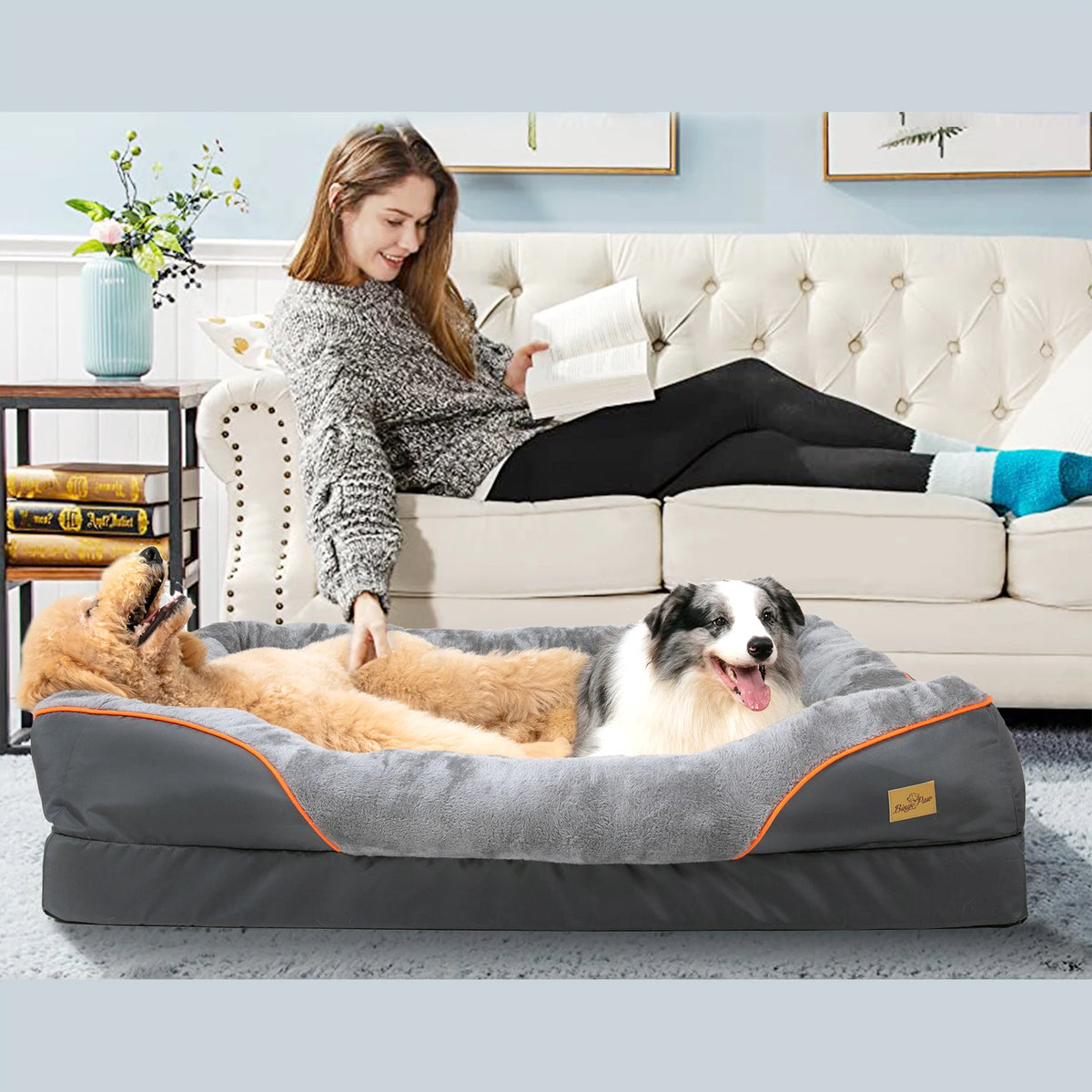 BINGOPAW Foam Dog Bed with Removable Cover