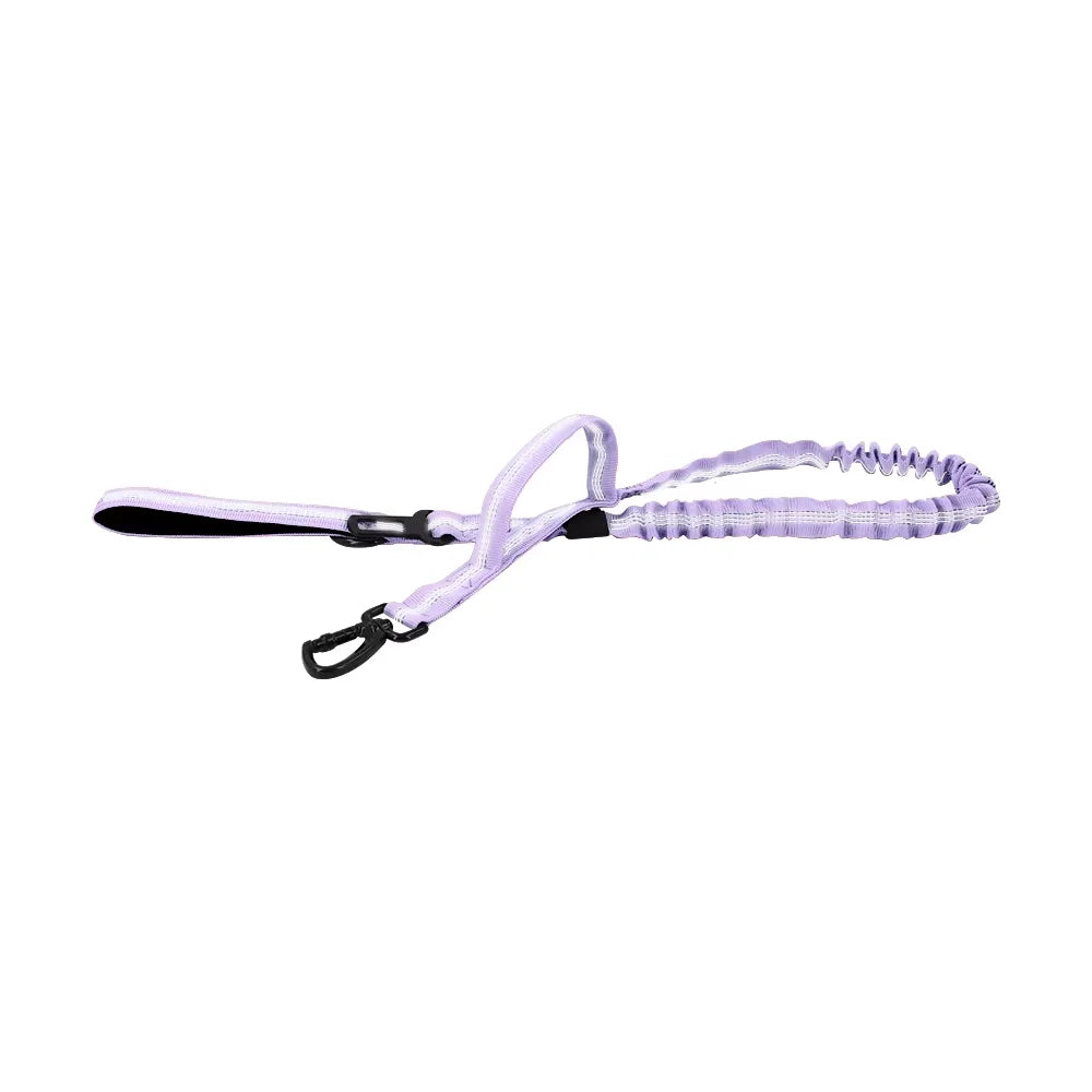 PETRAVEL Adjustable Nylon Dog Leash with Two Handles