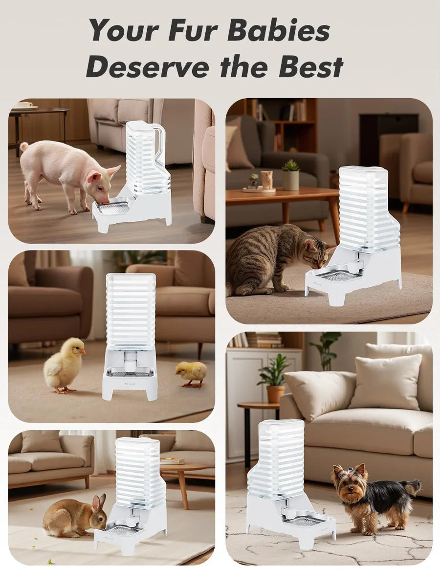 NITYERS 6L Gravity Pet Water Dispenser