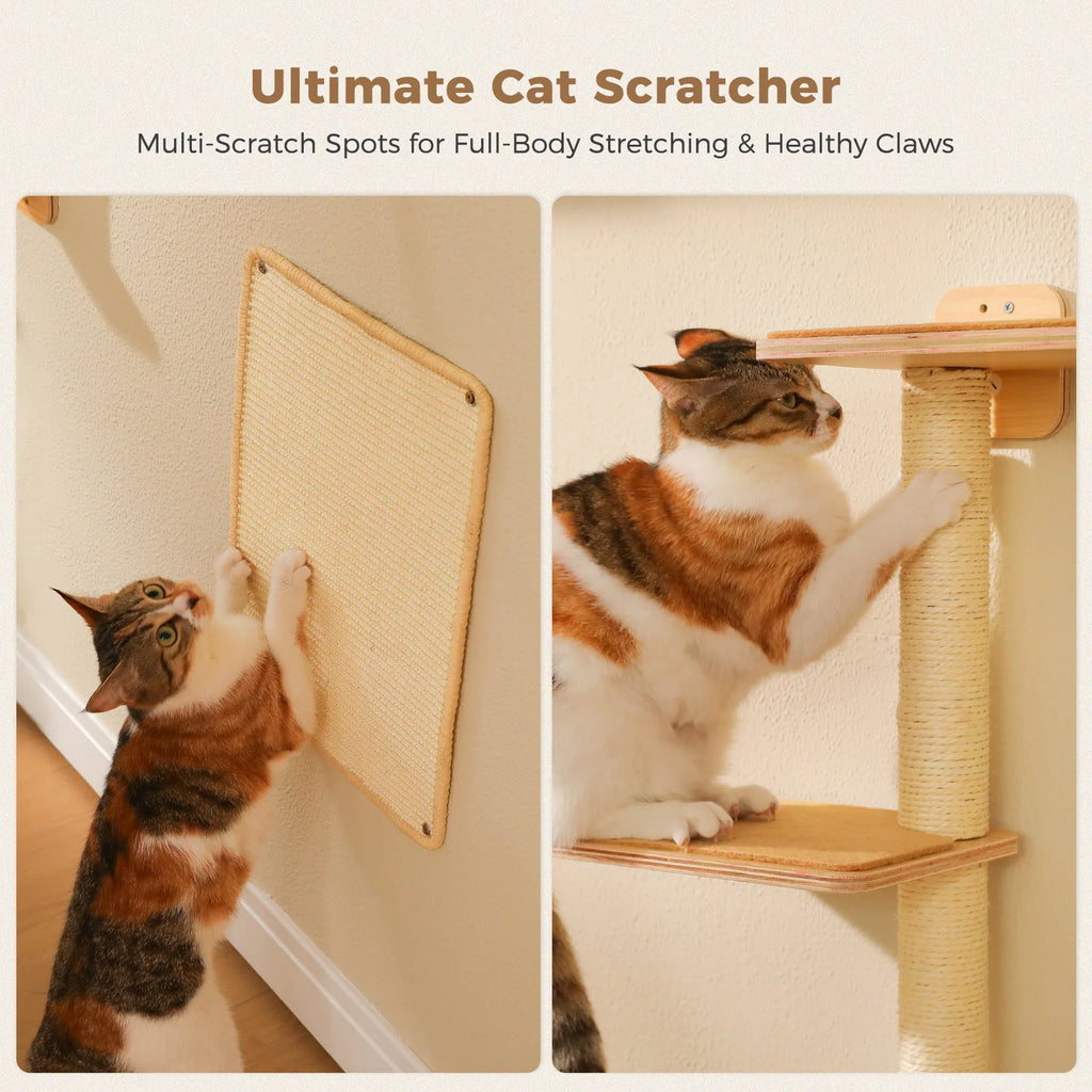 PAWZ Road Five-in-One Wall-Mounted Cat Climbing Set