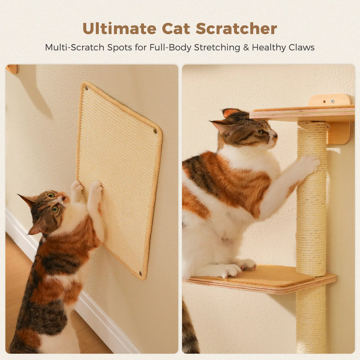PAWZ Road Five-in-One Wall-Mounted Cat Climbing Set