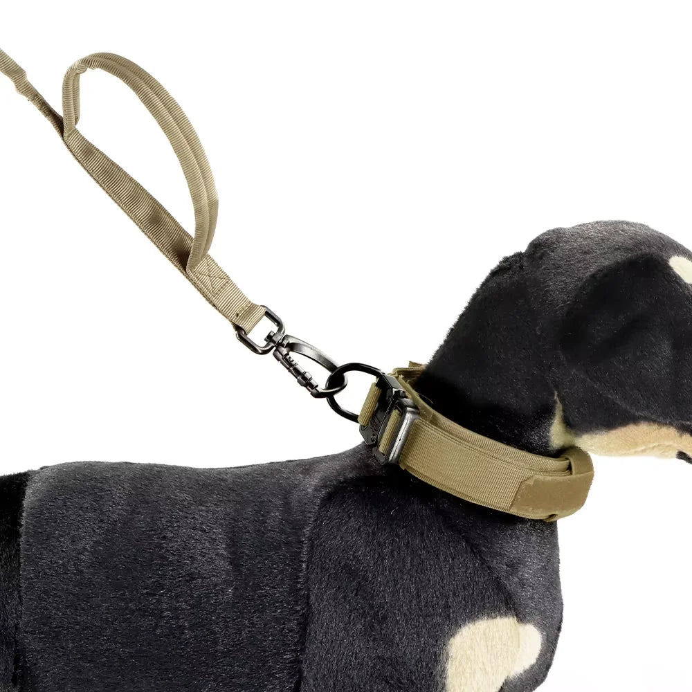 PETRAVEL Adjustable Nylon Dog Leash with Two Handles