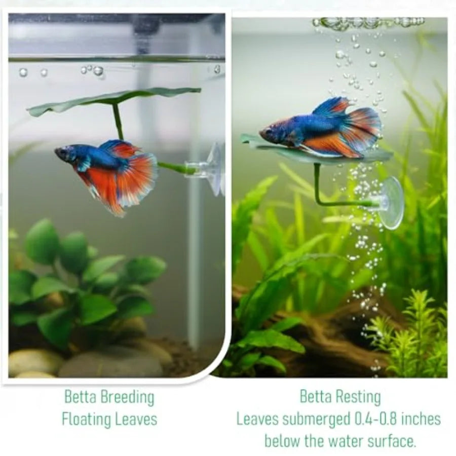 3 Pcs Betta Fish Leaf Hammock for Aquarium Decoration, Green Plastic Resting Spot with Suction Cup, Practical Breeding and Rest Whispering Desires Shoppe