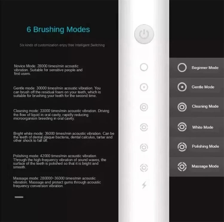 Rechargeable Electric Toothbrush with 4 Brush Heads
