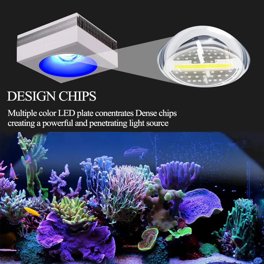 PopBloom RL90 WiFi Reef Aquarium LED Light