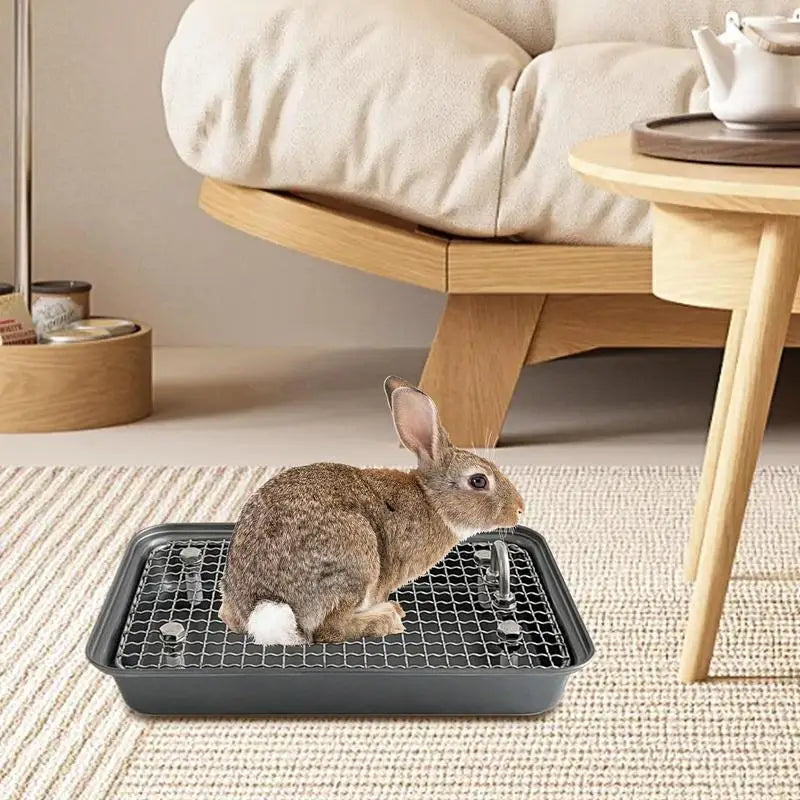Stainless Steel Rabbit Litter Pan with Removable Grate
