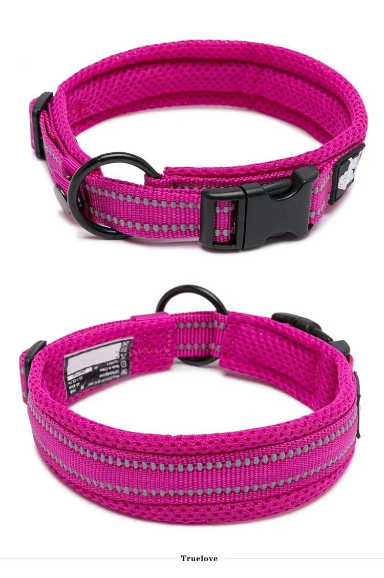 Winhyepet Padded Nylon Dog Collar