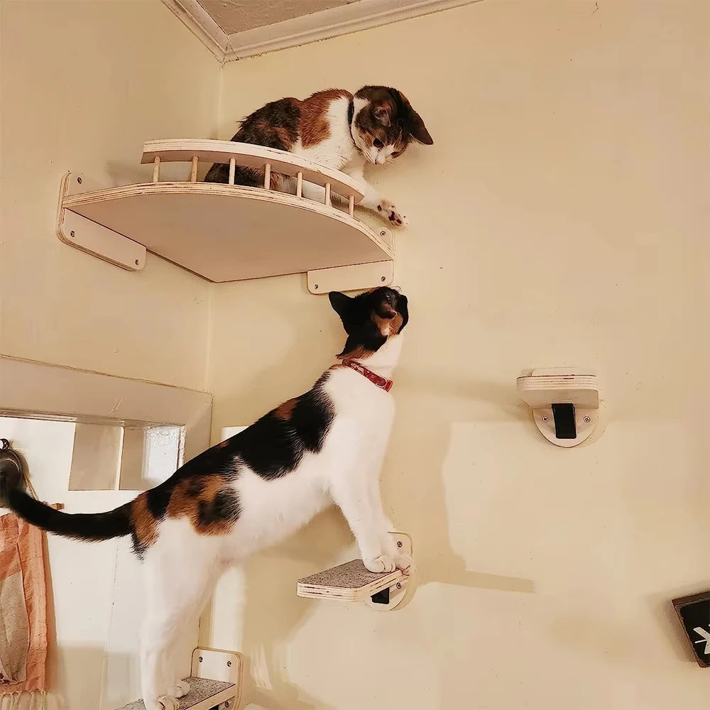 Wall-Mounted Four-Step Cat Climbing Shelf