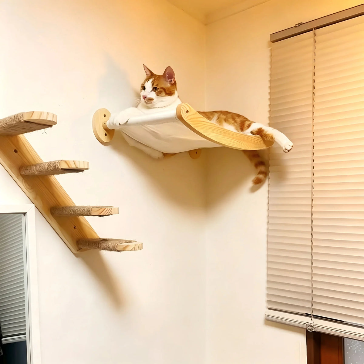 Wall-Mounted Cat Hammock & Climbing Stairs