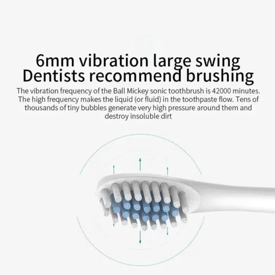 Rechargeable Electric Toothbrush with 4 Brush Heads