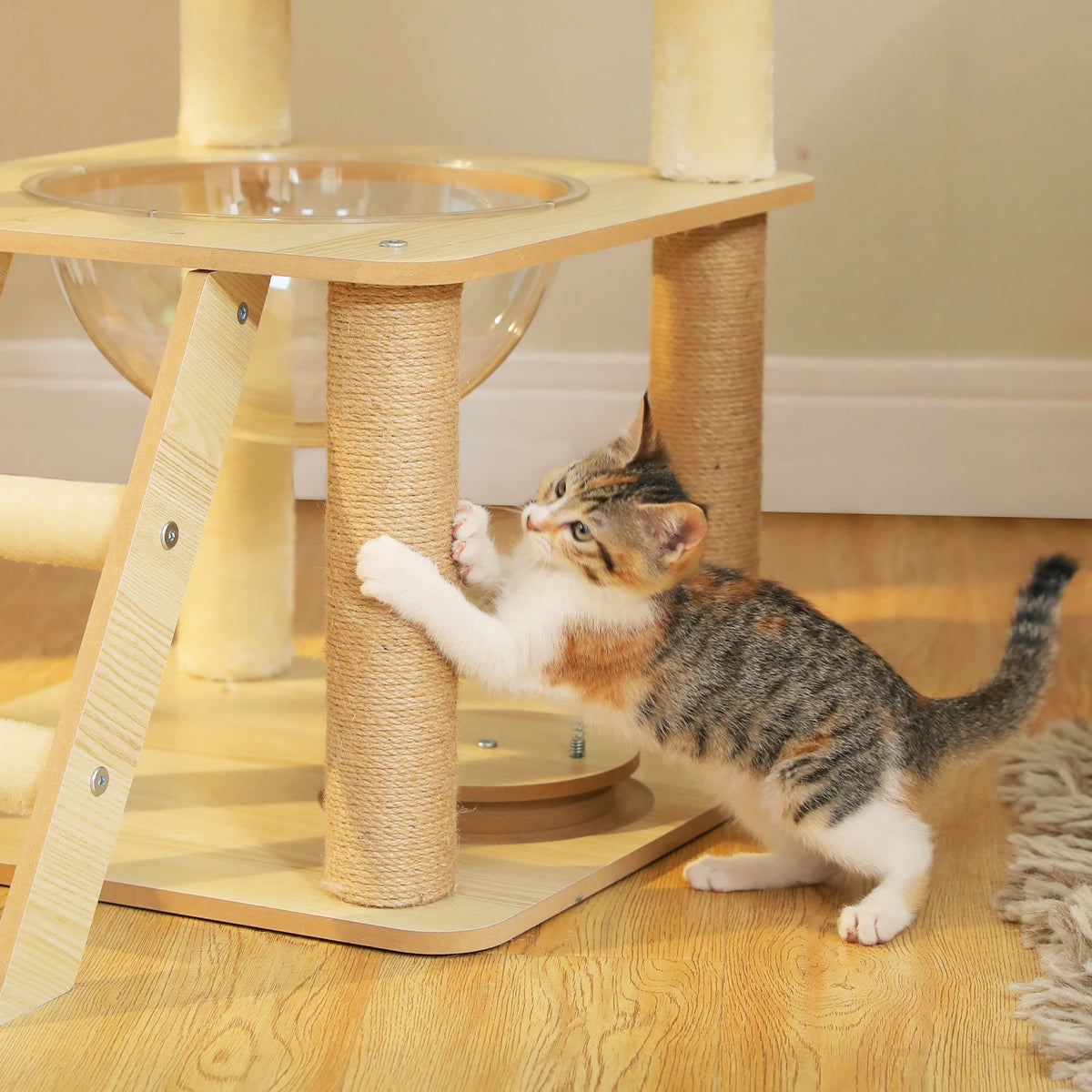 Multi-Level Wooden Cat Tree with Condo & Hammock