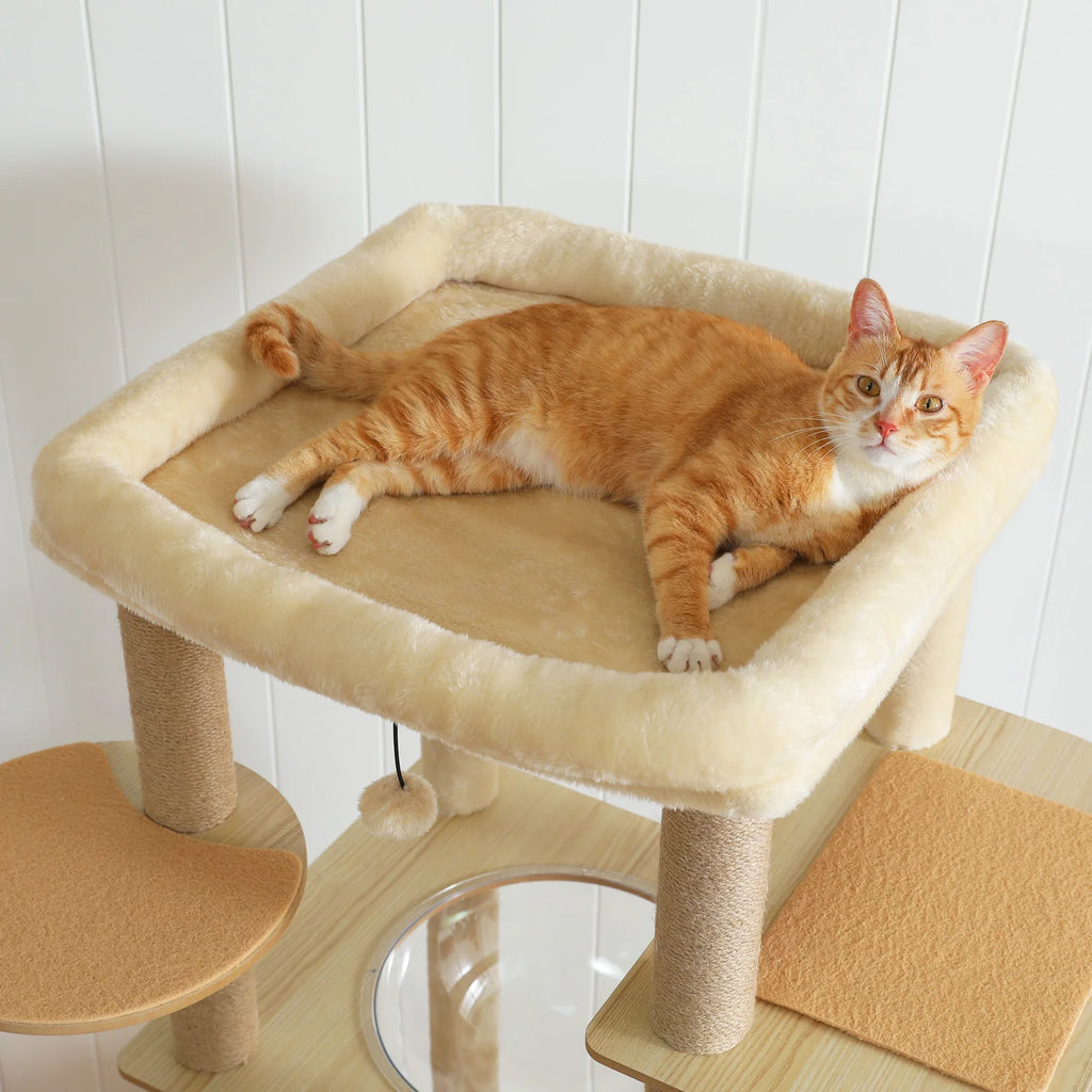 Multi-Level Wooden Cat Tree with Condo & Hammock