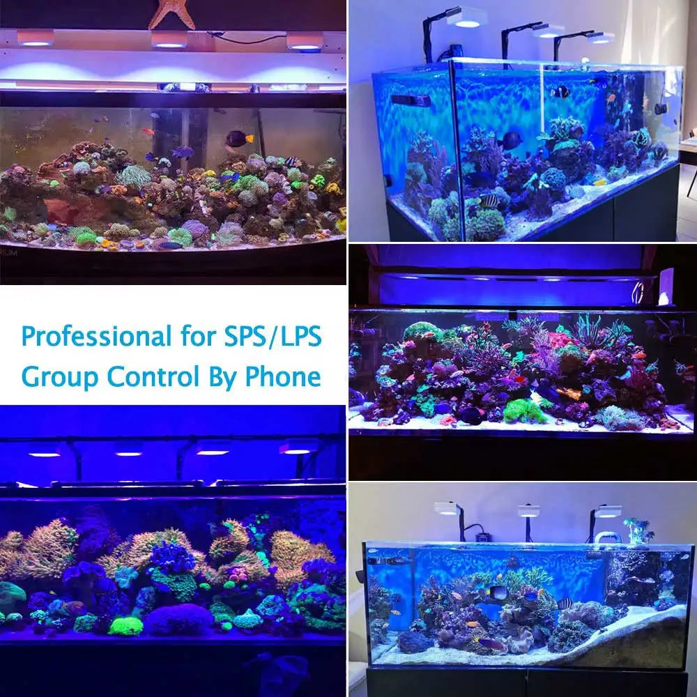 PopBloom RL90 WiFi Reef Aquarium LED Light