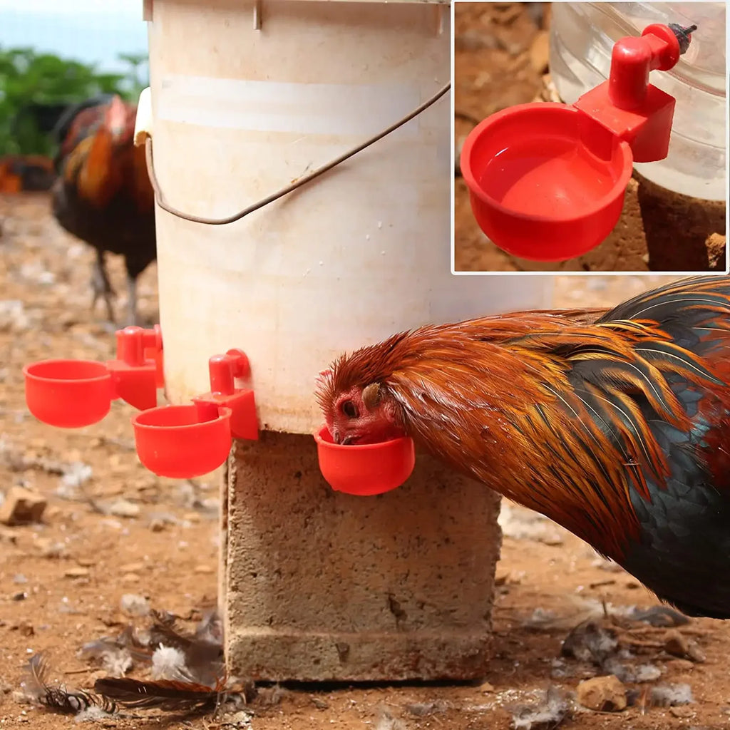 Automatic Poultry Drinking Cup for Chickens & Ducks