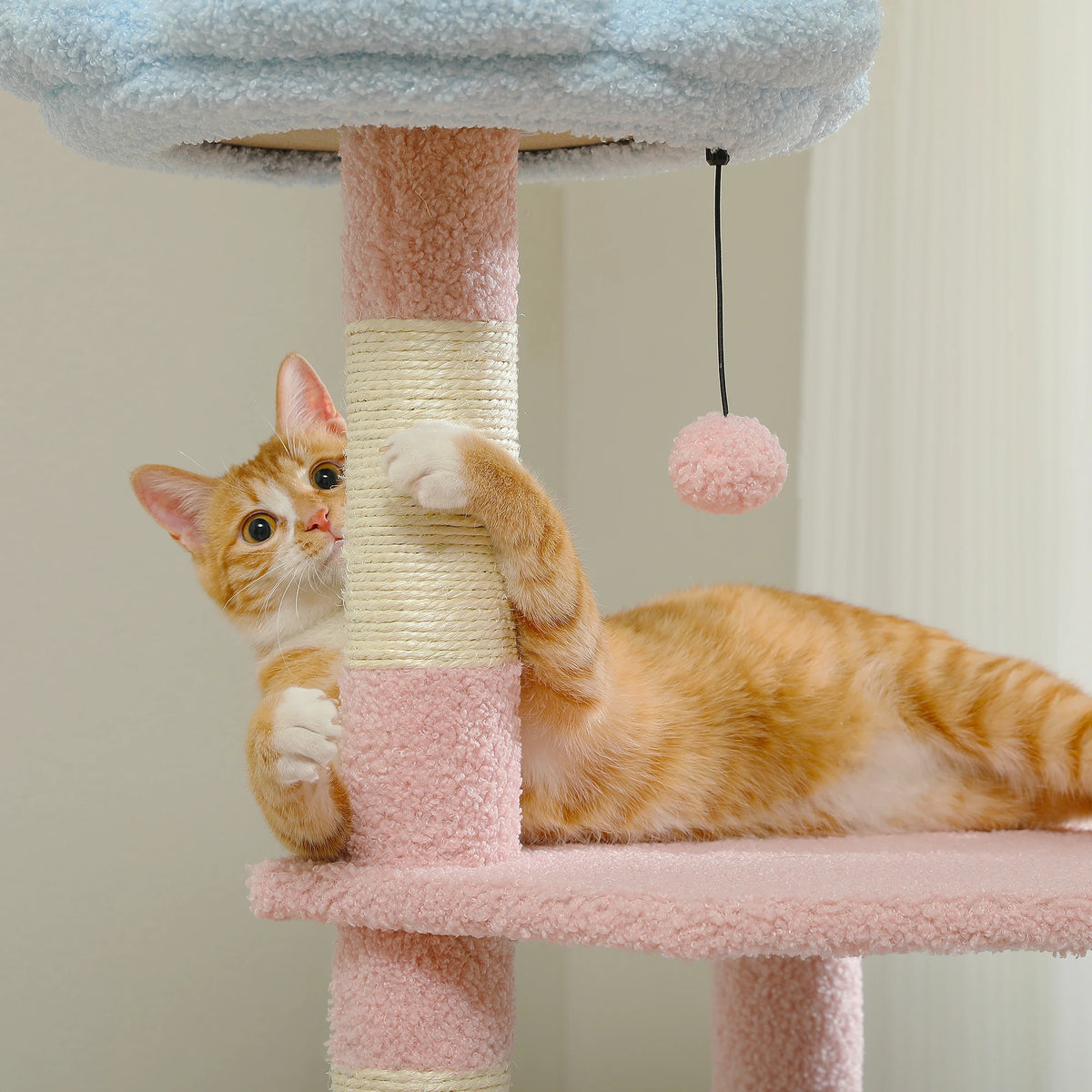 120cm Flower Cat Tree with Condo & Scratching Posts