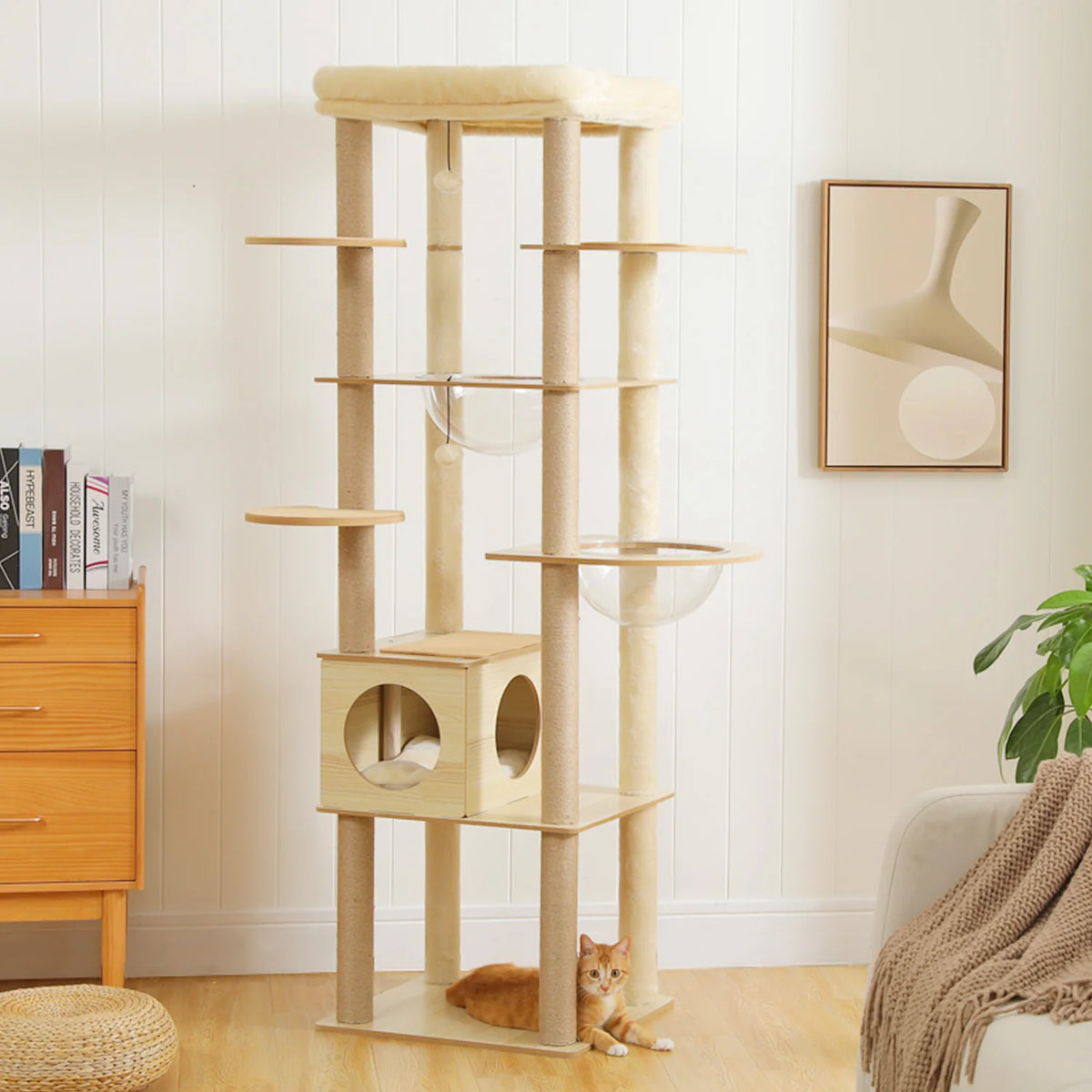 Multi-Level Wooden Cat Tree with Condo & Hammock